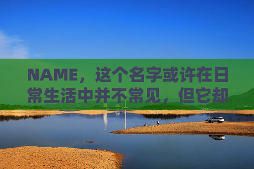 NAME,这个名字或许在日常生活中并不常见,但它却在某些领域里扮演着重要的角色。今天,让我们一起来探索这个名字背后的故事和意义